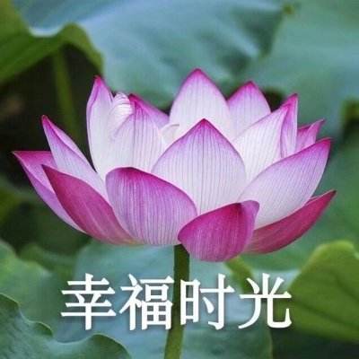 挖矿联盟内购破解版下载