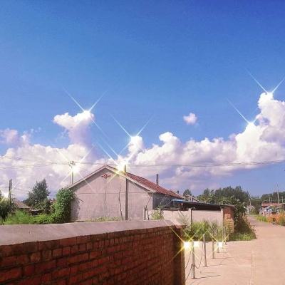 异界情缘游戏下载